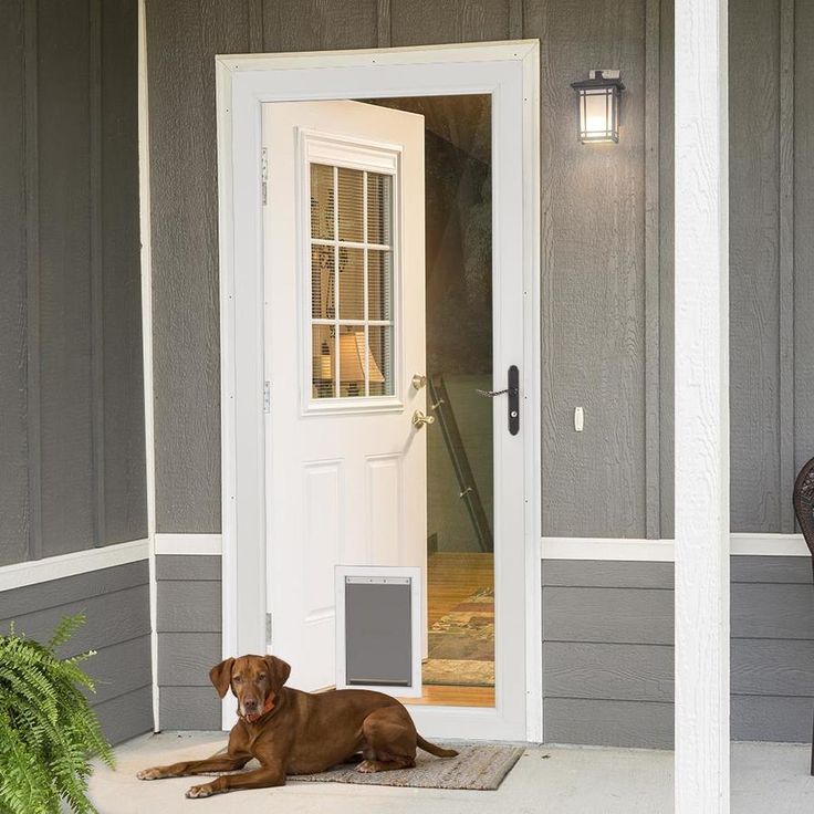 092304166445_09018070_-862717527.jpg Black Storm Door, Full Glass Exterior Door, Door With Pet Door, Door With Dog Door, Aluminum Storm Doors, Glass Storm Doors, Exterior Doors With Glass, Storm Doors, Retractable Screen