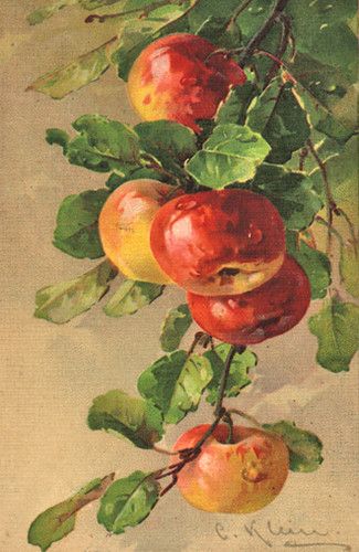 a painting of apples hanging from a tree branch