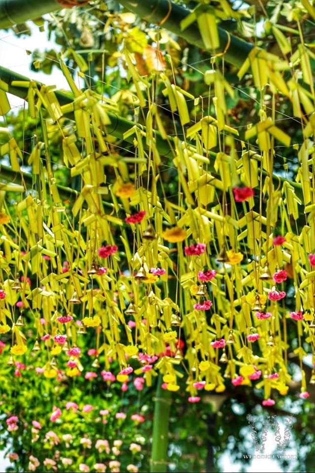 the flowers are hanging down from the ceiling in the garden, and it looks like they're blooming