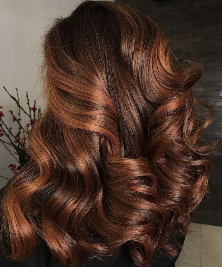 Mahogany With Highlights, Amber Highlights In Brown Hair, Dark Brown Hair With Ginger Highlights, Red Hair With Brown Highlights, Golden Honey Brown Hair, Light Brown Caramel Hair, Auburn Hair With Lowlights, Brown Hair With Ginger Highlights, Carmel Balayage Brunettes