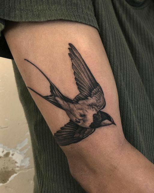 a small bird tattoo on the arm