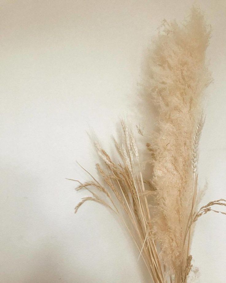 some dry grass is in a vase on the table next to a white wall and shelf