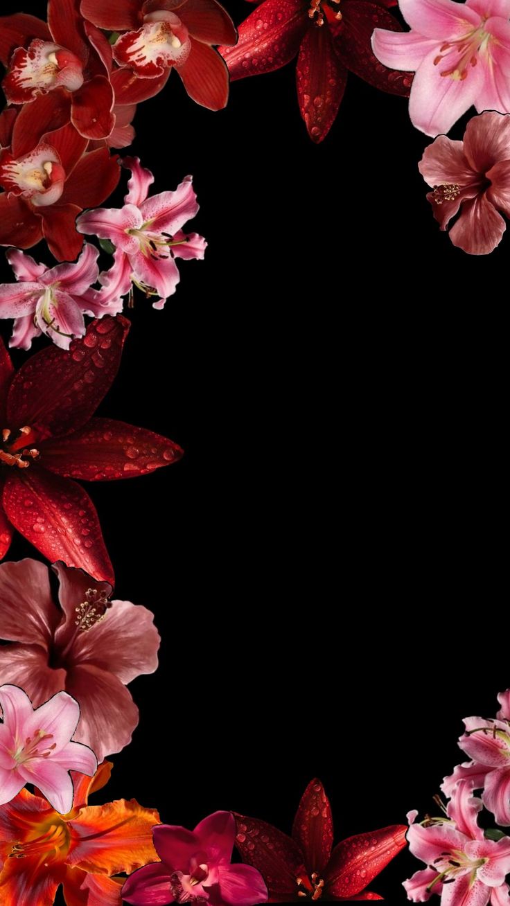 red and pink flowers are arranged in the shape of a circle on a black background