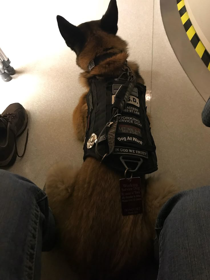 a cat wearing a vest sitting on the floor next to someone's legs and shoes