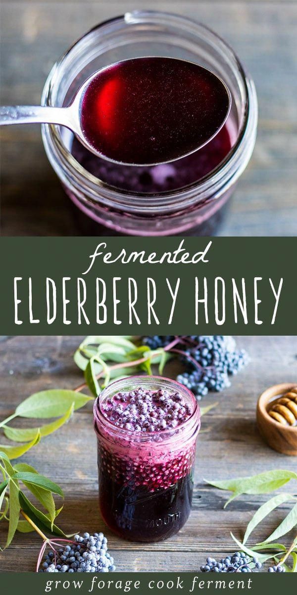 homemade elderberry honey recipe in a mason jar with fresh berries on the side and text overlay that reads, fermeted elderberry honey