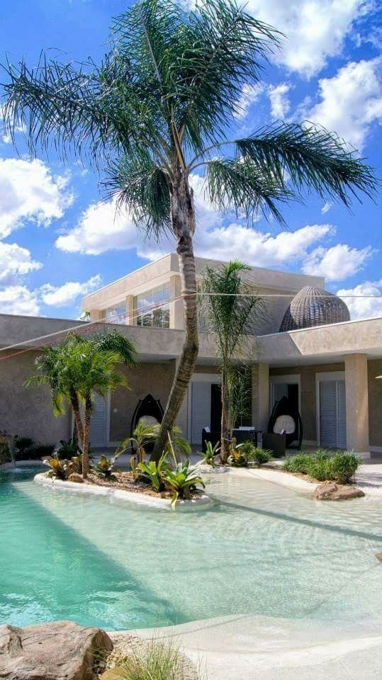 a palm tree next to a pool in front of a house