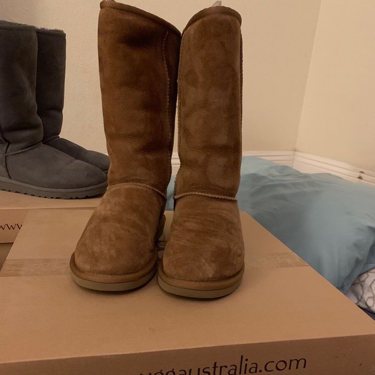 Super Cute Tan Ugg Tall Boots. Sprayed W Waterproof Ugg Water Repellent. Very Good Condition! Color: Cognac Ugg Tall Boots, Tall Uggs, Ugg Boots Tall, Shoes Ugg, Tall Boots, Womens Uggs, Ugg Shoes, Ugg Boots, Cognac