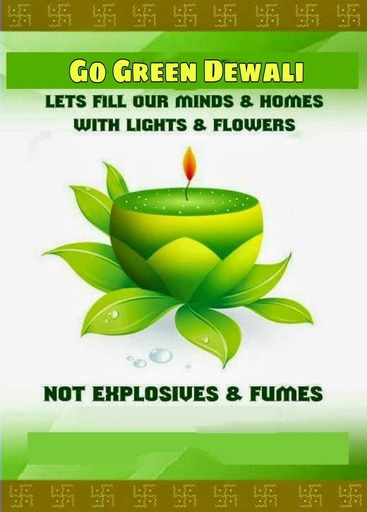 this diwali lets fill our minds and homes with lights and flowers not explosives & fumes