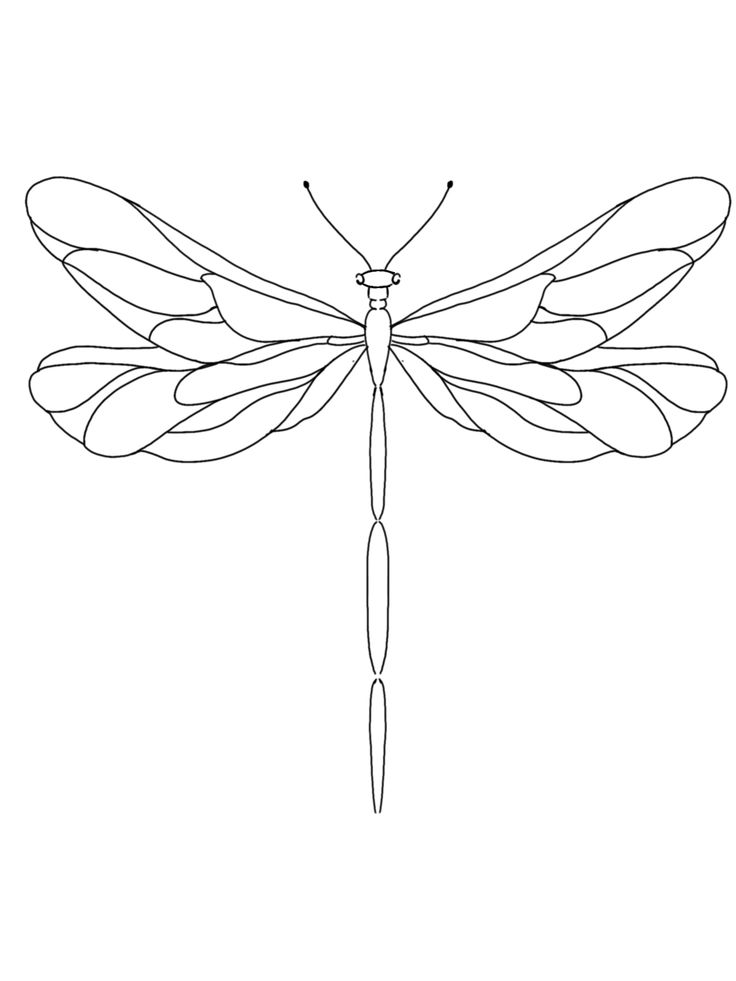 a black and white drawing of a dragonfly