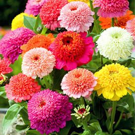 colorful flowers are in a vase on the table