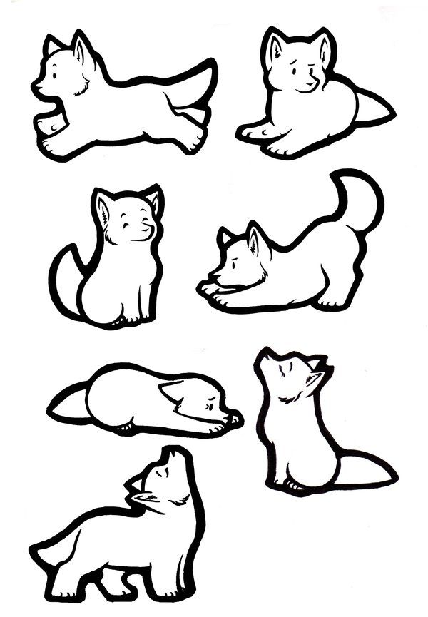 the different types of cats are shown in black and white