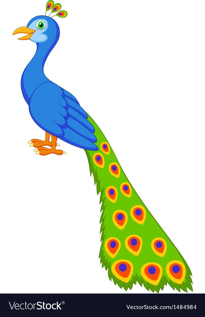 a blue peacock with orange and green feathers