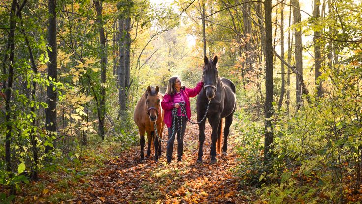 Andrea Harrison | Coach | Dog & Horse Training | Personal Growth