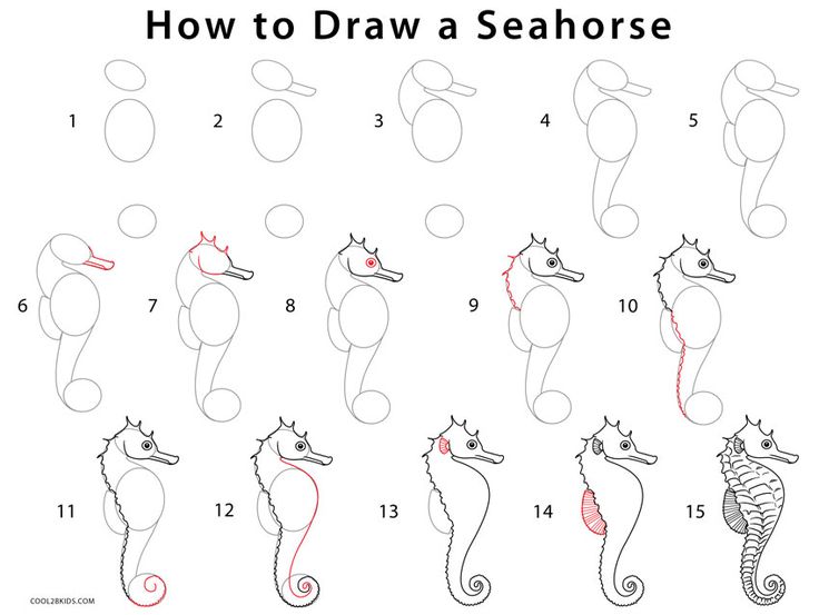 how to draw a seahorse step by step instructions for children and adults, with pictures