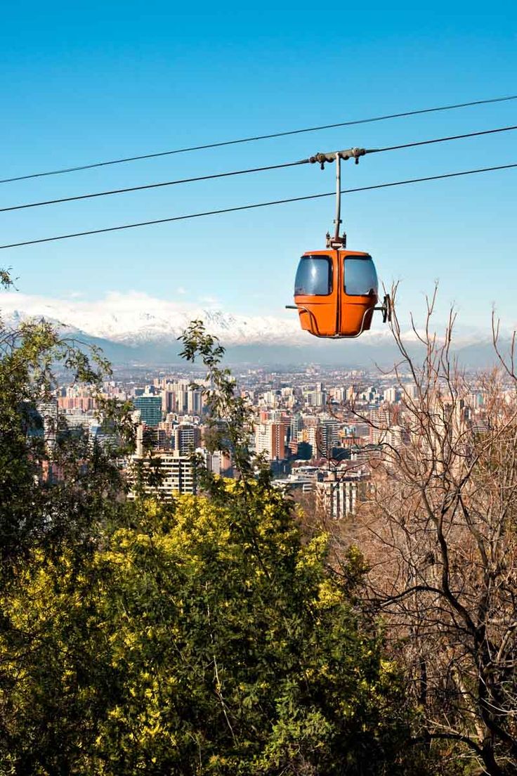 an orange and blue gondola is above the trees