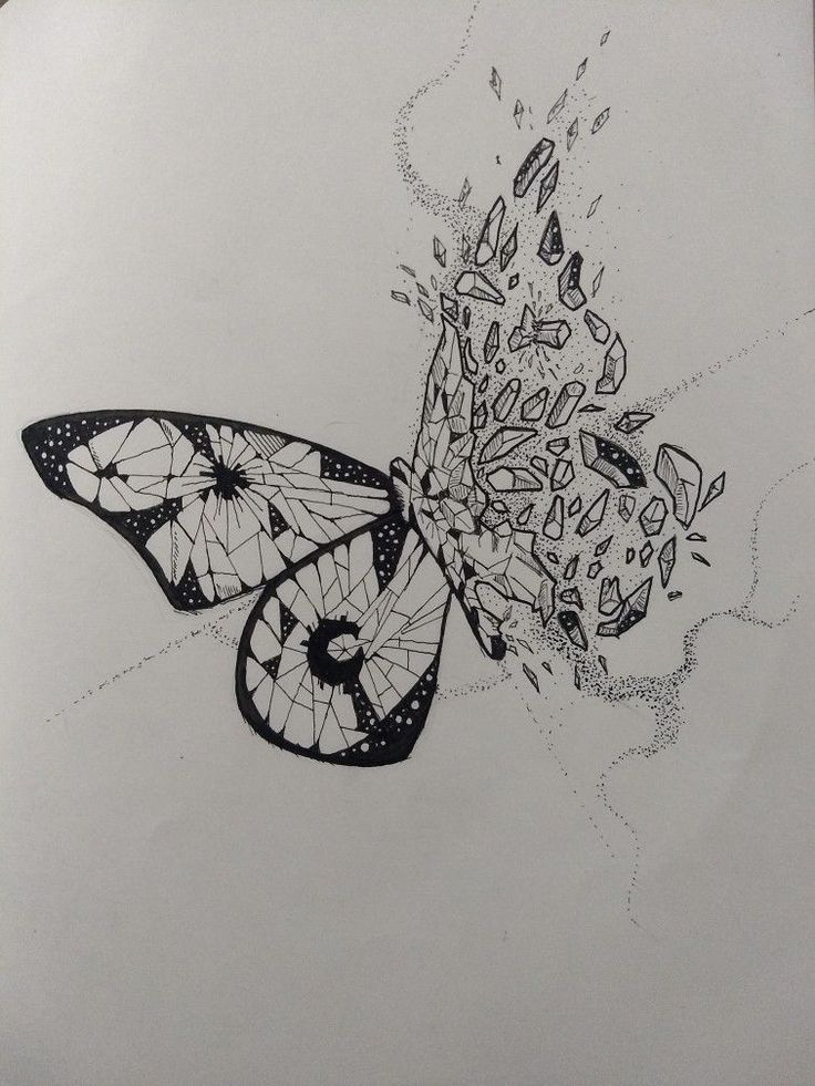 a black and white drawing of a butterfly