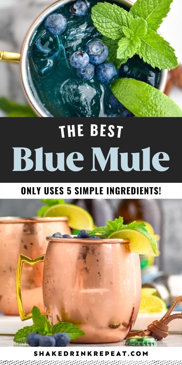 the best blue mule only uses 5 simple ingredients and it's so easy to make