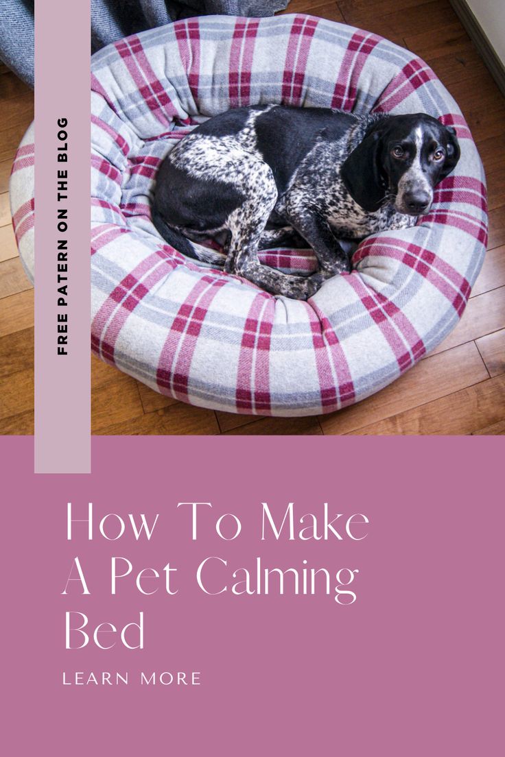 a black and white dog laying in a bed on the floor with text overlay that reads how to make a pet calming bed learn more