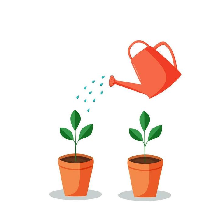 two potted plants with sprinkles on them, one being watered by a watering can