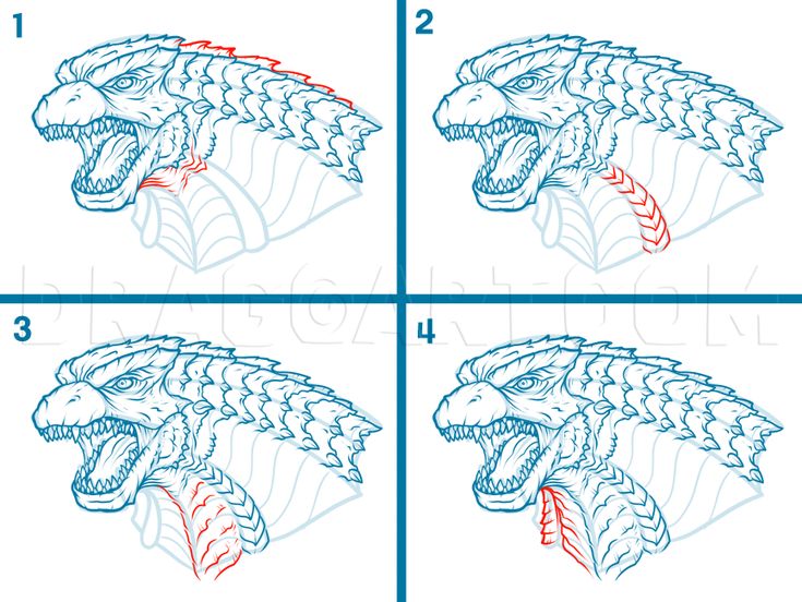 how to draw a dragon's head with four different angles and the main parts