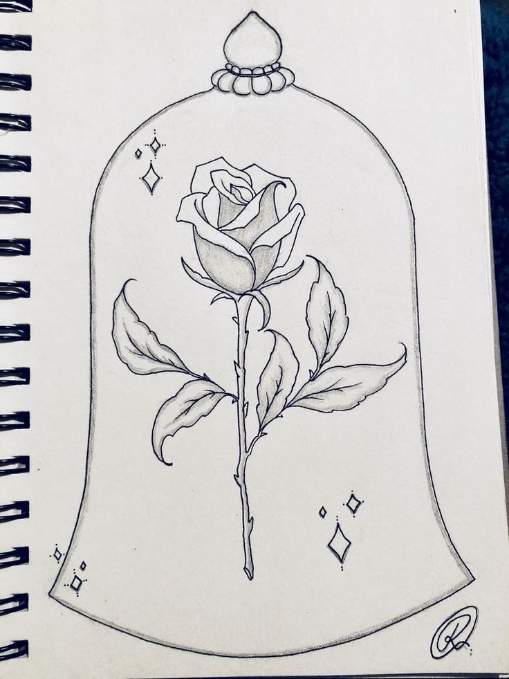 a drawing of a rose in a bell jar