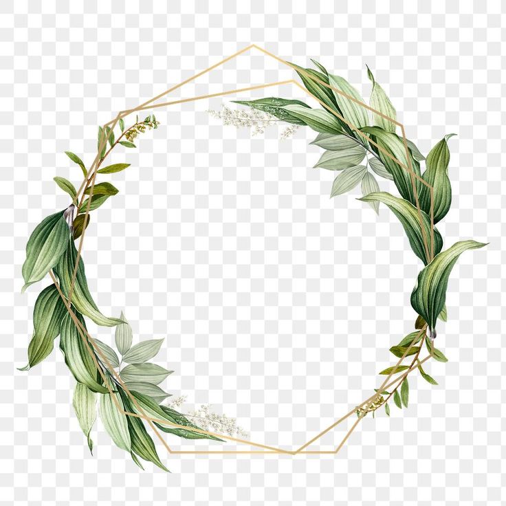 a wreath frame with leaves and flowers on it, transparent background png clipart