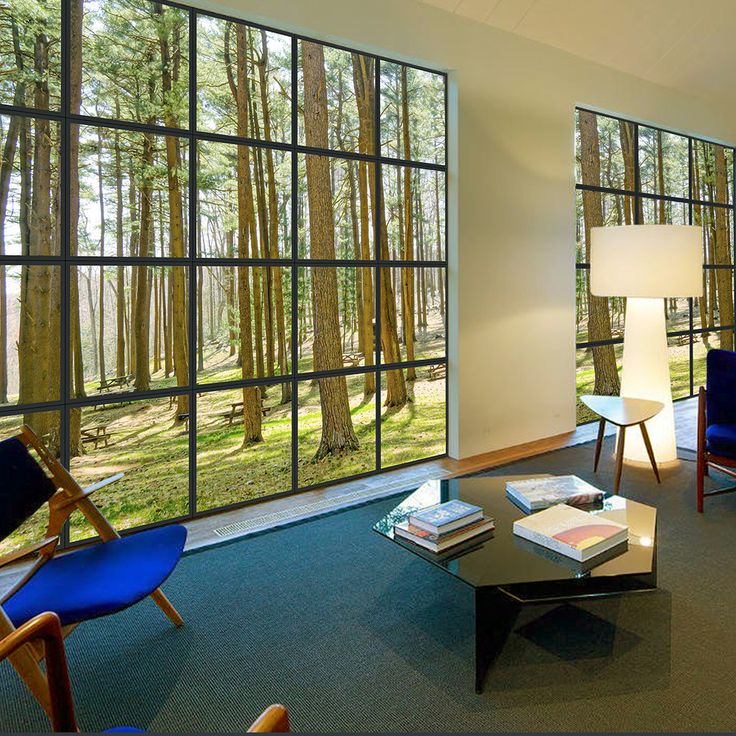 a living room filled with furniture and large windows next to a wall covered in trees