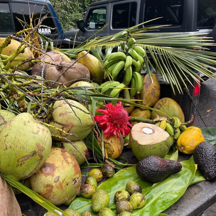 various fruits and vegetables are piled up in the back of a pick - up truck