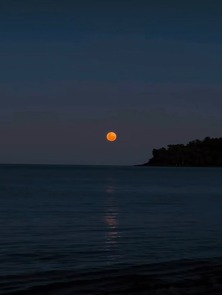 the moon is setting over the ocean with trees in the background