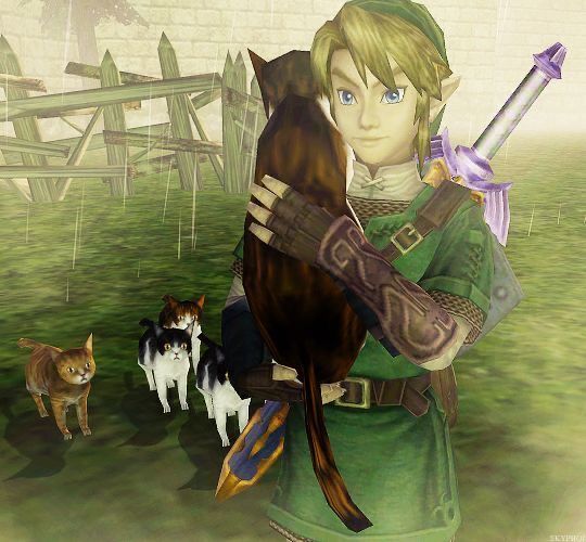 Link Twilight Princess, Legend Of Zelda Characters, No Context, Zelda Twilight Princess, On Hiatus, Link Zelda, Zelda Art, Twilight Princess, Random Pictures