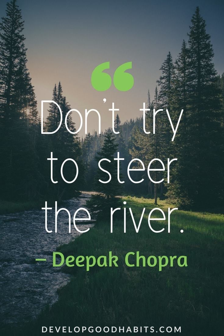 a river with the words, don't try to steer the river - deepak chop