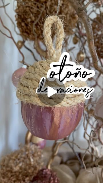 an onion hanging from a rope with the words alotno de raciones on it