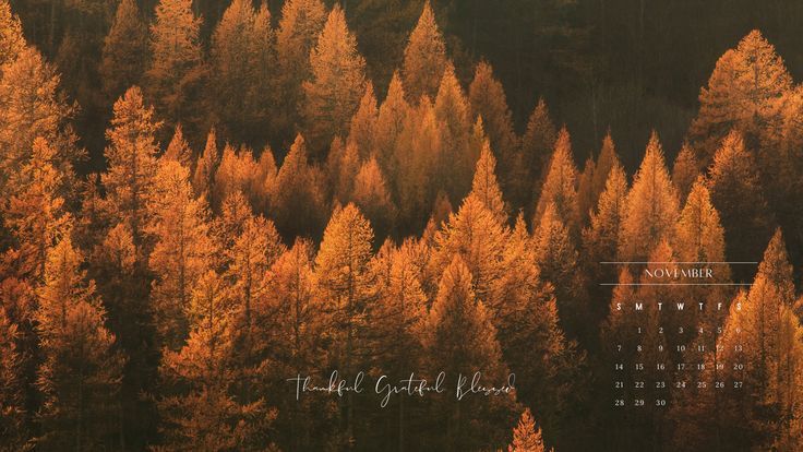 an aerial view of a forest with trees in the fall colors and calendar on it