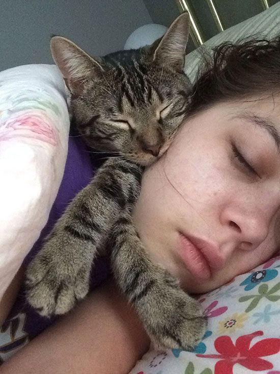 a cat is sleeping on top of a woman's head with the caption 6 breaking into your bedroom