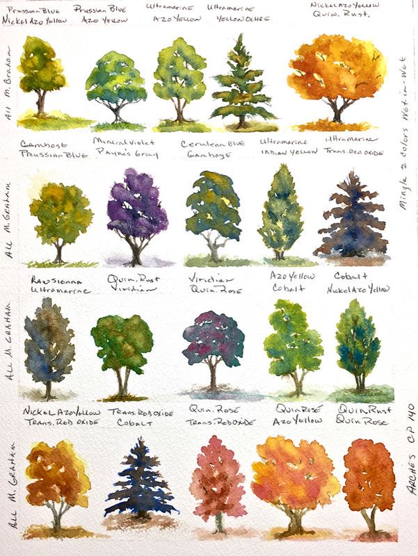 watercolor trees are shown in different colors and sizes, with the names below them