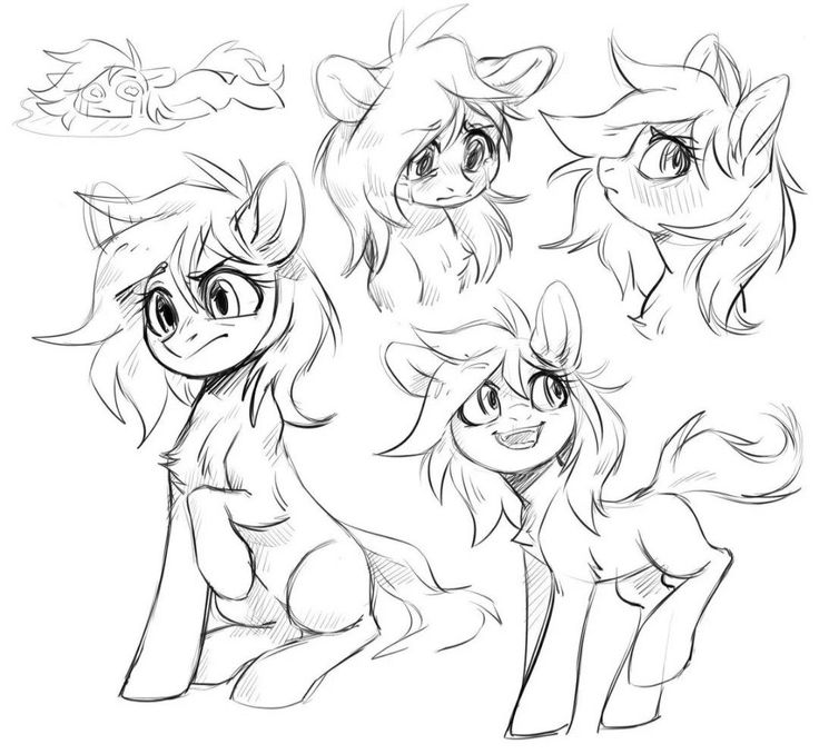 some sketches of ponys from the animated movie