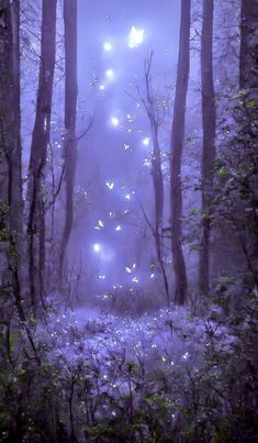 a forest filled with lots of trees covered in fairy lights and flying birds at night