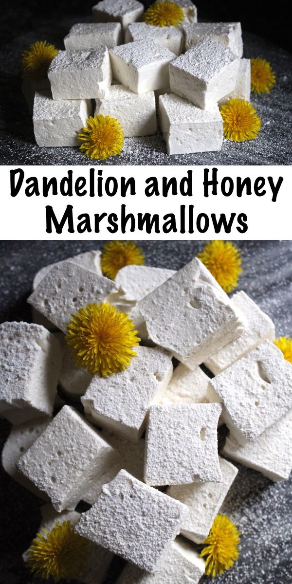 marshmallows with dandelion and honey on them are cut into squares