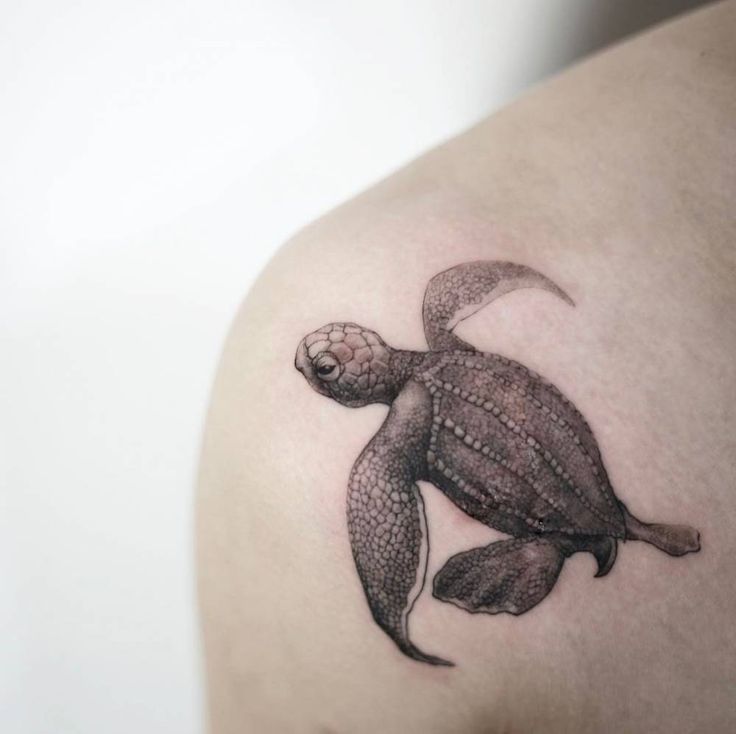 a small turtle tattoo on the left shoulder