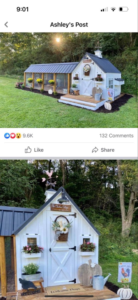 two pictures showing the same side by side, one with a shed on top and another with flowers growing out of it