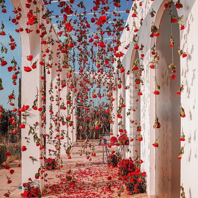 an archway covered in red flowers and vines