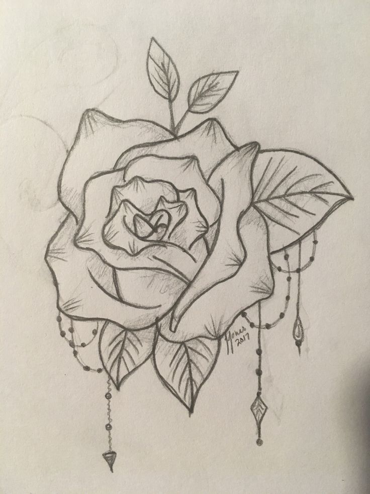 a drawing of a rose with leaves on it