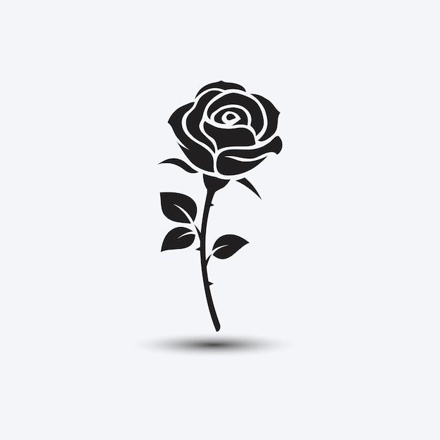 a single black rose on a white background