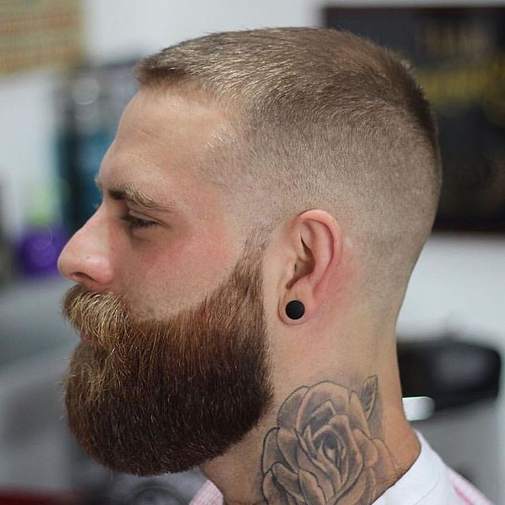 Short Hair With Beard, Long Beard Styles, Man With A Beard, Beard Haircut, Long Beard, Beard Hairstyle, Beard Model, Great Beards, Beard Tattoo