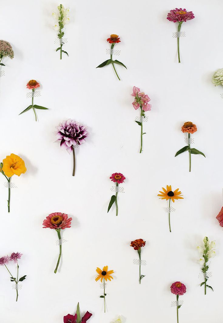 many different flowers are arranged on a white surface