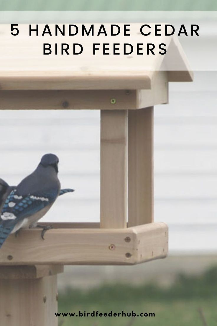 two birds perched on top of a bird feeder with the words 5 handmade cedar bird feeders