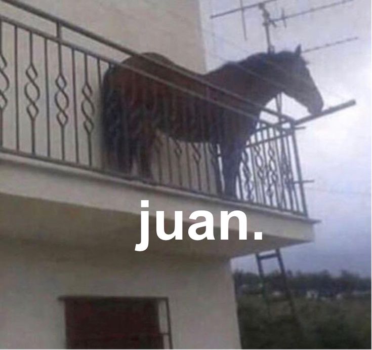 a horse standing on top of a balcony next to a tall white building with metal railings