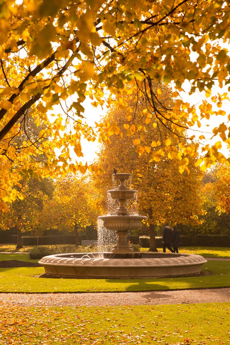 a fountain surrounded by trees with yellow leaves