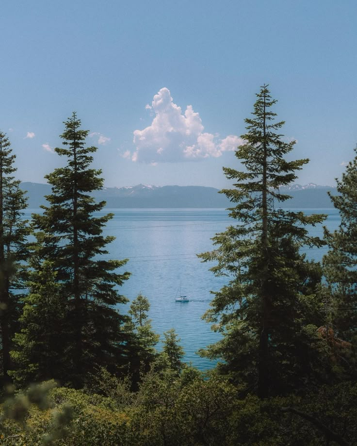 a boat is out on the water surrounded by pine trees and clouds in the sky