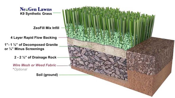 the layers of grass are labeled in this diagram